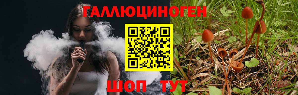Псилоцибиновые грибы MAGIC MUSHROOMS  Вход с VPN  Псилоцибиновые грибы Cubensis  Красноярск 