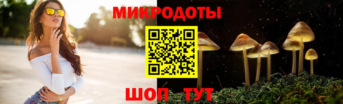 Галлюциногенные грибы GOLDEN TEACHER Красноярск