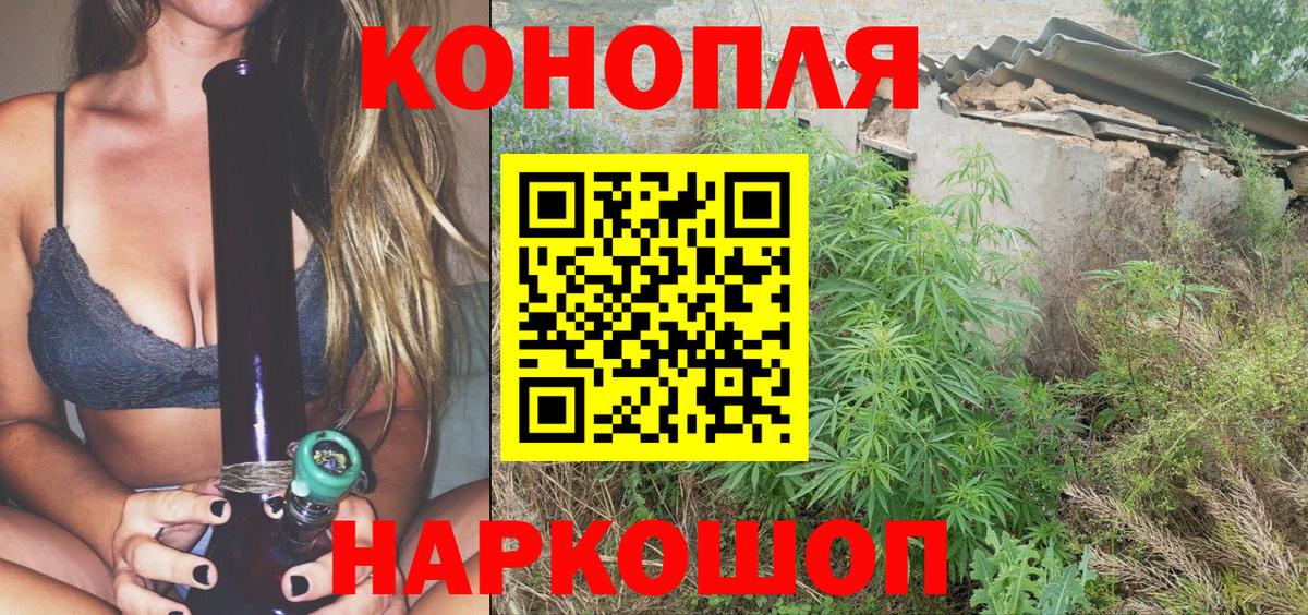 Альфа ПВП Красноярск